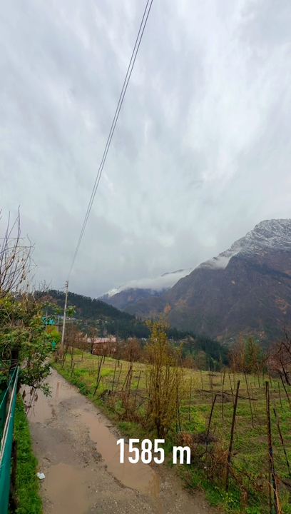 Lost in the mountain vibes? Here’s your quick guide to chill Kasol outings in the Parvati Valley, packed with scenic trails, riverside cafés, and some real mountain-town magic 🌄✨

Top Spots to Visit in Kasol:
1. Parvati River — Start your day with a peaceful walk along the riverside. Early morning scenes here are pure therapy. You’ll find plenty of scenic selfie spots and little hidden trails.
2. Manikaran Sahib — About 4km from Kasol, this famous Sikh Gurudwara is open 24/7. Don’t miss the hot springs and free langar for a soulful (and super budget) meal.
3. Chalal Village Trek — One of the chillest walks you’ll ever do. Cross the hanging bridge by Panjtara Café and trek half an hour along the river. Bring sturdy shoes, especially after rain!
4. Jim Morrison Café — The classic Kasol hangout for live music, Israeli food and those killer views. Try their Shakshuka or some momos, open 10am–11pm.
5. Kasol Market — Shop for cozy jackets, hippie pants, incense, and pretty much every trippy souvenir imaginable. Tip: Bargain (nicely!).

Travel Tips & Local Hacks:
· Moving around Kasol is mostly on foot — the whole village is walkable and makes for super chill exploration.
· Best time? March–June and September–November for pleasant weather.
· Cash is king! ATMs are few, and mobile signals can be patchy.
· Stay hydrated, but drink bottled water (for your stomach's sake).
· Accommodation: Use trip.com for easy booking of hostels, cottages, and riverside stays.

Foodie Pro-Tip: Grab a Nutella banana crêpe from a street cart, and don’t skip ginger-lemon-honey tea at a riverside shack.

#KasolDiaries #HimalayanGetaways #TravelIndia #BackpackersIndia #tripdotcom