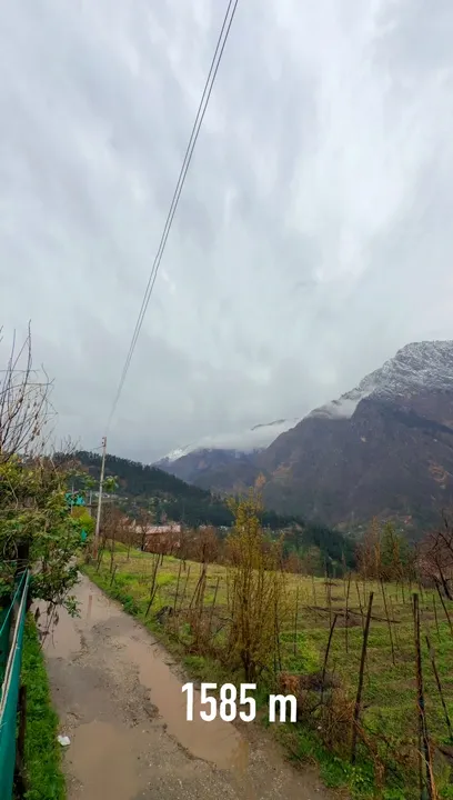 Lost in the mountain vibes? Here’s your quick guide to chill Kasol outings in the Parvati Valley, packed with scenic trails, riverside cafés, and some real mountain-town magic 🌄✨

Top Spots to Visit in Kasol:
1. Parvati River — Start your day with a peaceful walk along the riverside. Early morning scenes here are pure therapy. You’ll find plenty of scenic selfie spots and little hidden trails.
2. Manikaran Sahib — About 4km from Kasol, this famous Sikh Gurudwara is open 24/7. Don’t miss the hot springs and free langar for a soulful (and super budget) meal.
3. Chalal Village Trek — One of the chillest walks you’ll ever do. Cross the hanging bridge by Panjtara Café and trek half an hour along the river. Bring sturdy shoes, especially after rain!
4. Jim Morrison Café — The classic Kasol hangout for live music, Israeli food and those killer views. Try their Shakshuka or some momos, open 10am–11pm.
5. Kasol Market — Shop for cozy jackets, hippie pants, incense, and pretty much every trippy souvenir imaginable. Tip: Bargain (nicely!).

Travel Tips & Local Hacks:
· Moving around Kasol is mostly on foot — the whole village is walkable and makes for super chill exploration.
· Best time? March–June and September–November for pleasant weather.
· Cash is king! ATMs are few, and mobile signals can be patchy.
· Stay hydrated, but drink bottled water (for your stomach's sake).
· Accommodation: Use trip.com for easy booking of hostels, cottages, and riverside stays.

Foodie Pro-Tip: Grab a Nutella banana crêpe from a street cart, and don’t skip ginger-lemon-honey tea at a riverside shack.

#KasolDiaries #HimalayanGetaways #TravelIndia #BackpackersIndia #tripdotcom