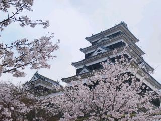 Ozu Castle in Shikoku.