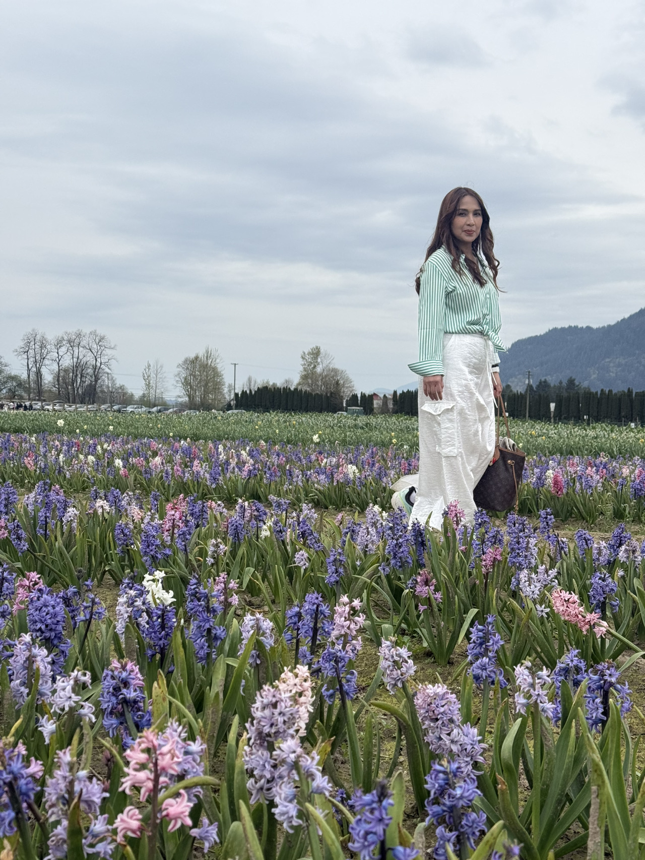 Agassiz - Harrison Tulip Spring Fields - 圖 5
