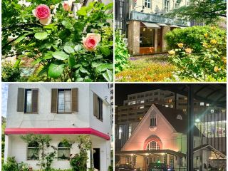 【國立站附近】在花與綠意環繞的街道享受寧靜的松花堂午餐