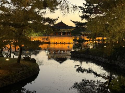 慶州を1日巡り、「千年の古都」の奥深さを真に実感！ここでは、昼間は