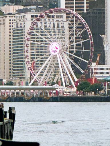 香港ライフ：目まぐるしい日々、尽きない発見。 | Trip.com 香港