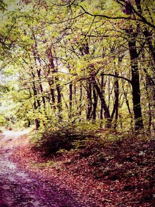 Aurlandsdalen Geiteryggen and the Mossy Valley Cliff: Vestland's 40 km Trougheasytravelpost #Aurlan