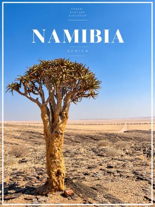 รีวิวเที่ยว Namibia | ตามหาต้น Quiver Tree กลางทะเลทราย

หนึ่งในภาพที่ทำให้รู้สึกว่า “นี่แหละ Namibia” คือการได้เห็น Quiver Tree ยืนเด่นอยู่ท่ามกลางภูมิประเทศที่แห้งแล้งและกว้างสุดสายตา 🌳🏜️

เสน่ห์ของที่นี่คือความเรียบง่ายมาก ๆ รอบตัวแทบไม่มีอะไรบดบัง มีเพียงท้องฟ้าสีฟ้า พื้นหินแห้ง ๆ และถนนที่ทอดยาวไปไกล บรรยากาศเงียบสงบจนรู้สึกเหมือนได้อยู่กับธรรมชาติจริง ๆ

ตัว Quiver Tree มีรูปทรงแปลกตา ลำต้นหนาและแตกกิ่งออกด้านบน พออยู่ท่ามกลางวิวทะเลทรายยิ่งดูโดดเด่น โดยเฉพาะเวลาที่แสงแดดกระทบลำต้น สีทองของต้นไม้ตัดกับท้องฟ้าสีฟ้าสวยมาก ถ่ายรูปออกมาแทบไม่ต้องแต่งอะไรเลย 📸

การขับรถเที่ยว Namibia ทำให้เราได้เจอวิวแบบนี้ตลอดทาง บางจุดอาจไม่ได้เป็นสถานที่ท่องเที่ยวใหญ่โต แต่กลับเป็นภาพที่จำได้ดีที่สุด เพราะมันให้ความรู้สึกถึงความเวิ้งว้าง สงบ และความสวยแบบดิบ ๆ ของแอฟริกา

ใครชอบ Road Trip + ธรรมชาติ + ทะเลทราย Namibia เป็นประเทศที่ควรมาเห็นด้วยตาตัวเองสักครั้งค่ะ 🤎

#Namibia #QuiverTree #NamibiaRoadTrip #NamibiaTravel #เที่ยวNamibia #เที่ยวนามิเบีย #เที่ยวแอฟริกา #AfricaTravel #RoadTrip #TravelReview