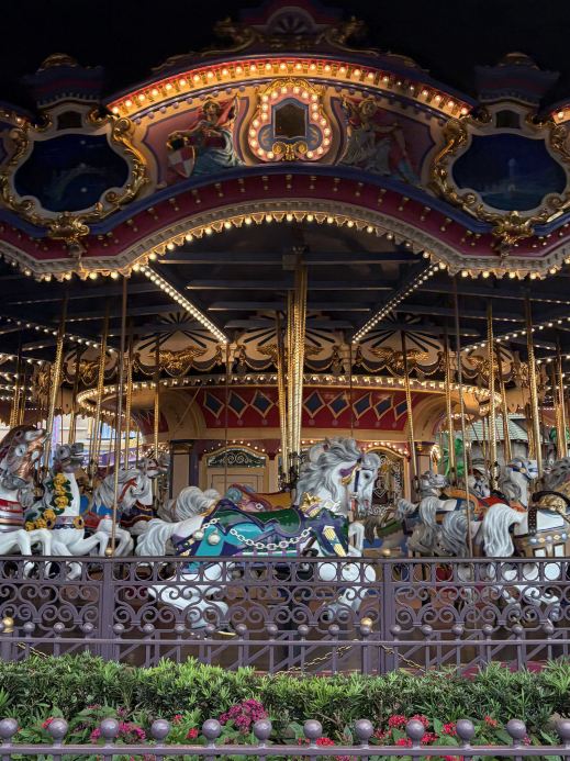 ディズニー・ワールド マジック・キングダム 。 | Trip.com ベイ・レイク
