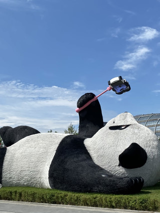 Laporan Perjalanan Dua Hari ke Dujiangyan | Air Mata Biru + Melihat Panda