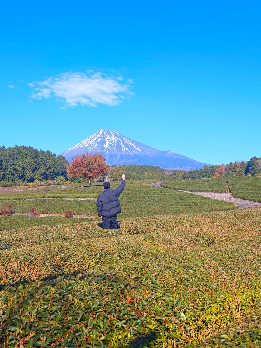 Tea drinking spot 🍵 + 🗻 @Obuchi Sasaba