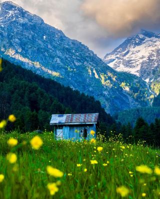 Alpine Wilderness, Floating Flower Markets & Serene Lake Sunsets (Best for Nature & Travel Focus)