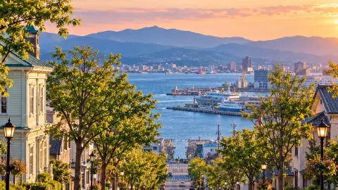 🧱 HAKODATE MOTOMACHI — Walk up the hill, then turn around and you'll see the sea 🌊🇯🇵 — traveler post in Hakodate