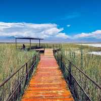 CejarLagoon,  Dead Sea in Chile 