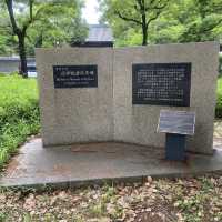 【東京都🇯🇵芝公園】都会のオアシス☺️東京タワーを見ながらのんびり散歩