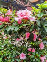 盤龍寺安靜放鬆心靈好去處