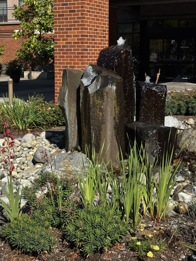 2025西雅圖推薦住宿：Issaquah Hilton Garden Inn