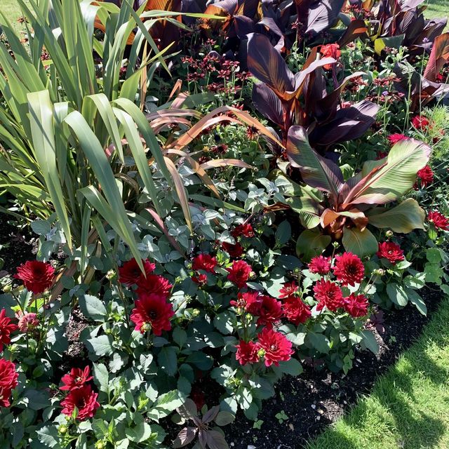 🇬🇧Enchanting Bournemouth Blooms!🏖️