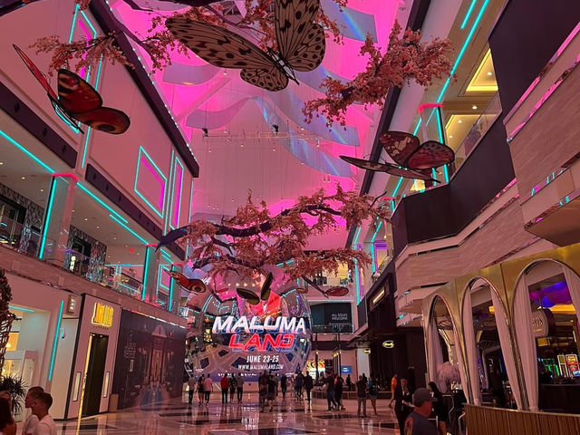 Beautiful hotel in Vegas 🗺️