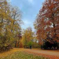 English Garden Munich 🌳