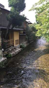 Timeless Elegance of Kyoto's Gion District