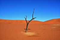 The Whispering Dunes of Namibia's Sossusvlei