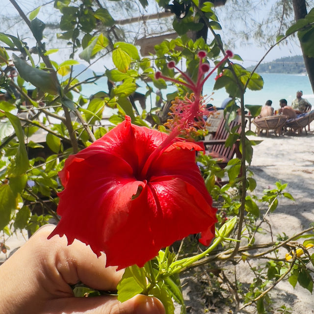 The paradise islands of Cambodia