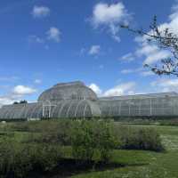 Ever so beautifully blossoming Kew Gardens!