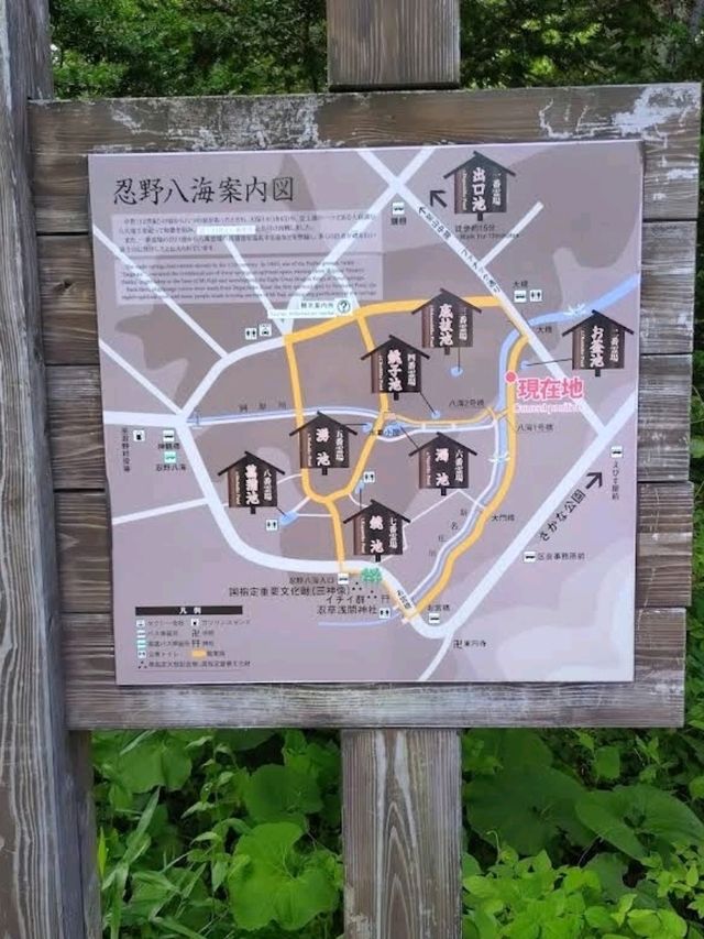 🌸忍野八海🌸環境優美的小村莊🌸