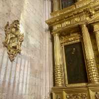 Segovia Cathedral ⛪️
