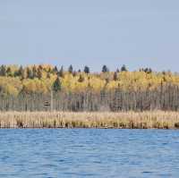 A Tranquil Paddle Through Autumn’s Colors 🌲🍁