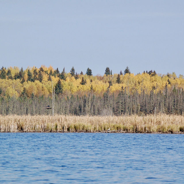 A Tranquil Paddle Through Autumn’s Colors 🌲🍁