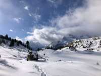 Snowy Escapes