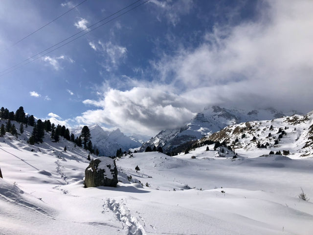 Snowy Escapes