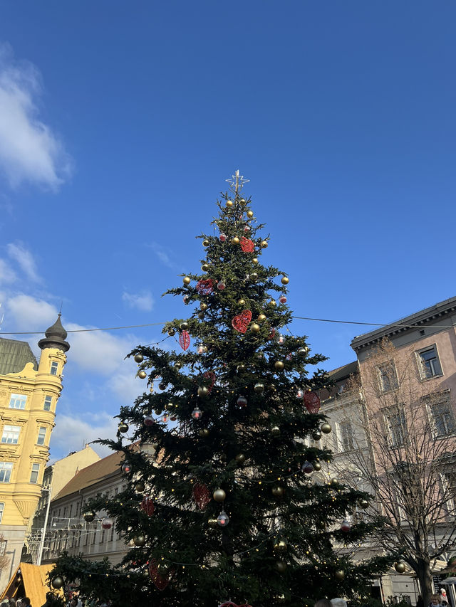 🇨🇿Brno🐊