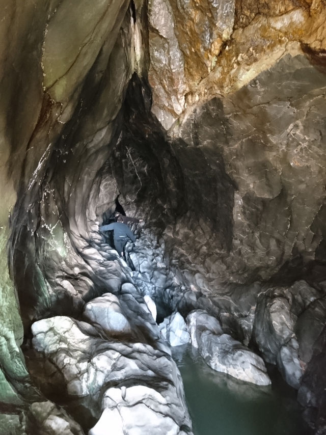 🌊 Wild & Rugged: A Gower AONB Adventure 🌿