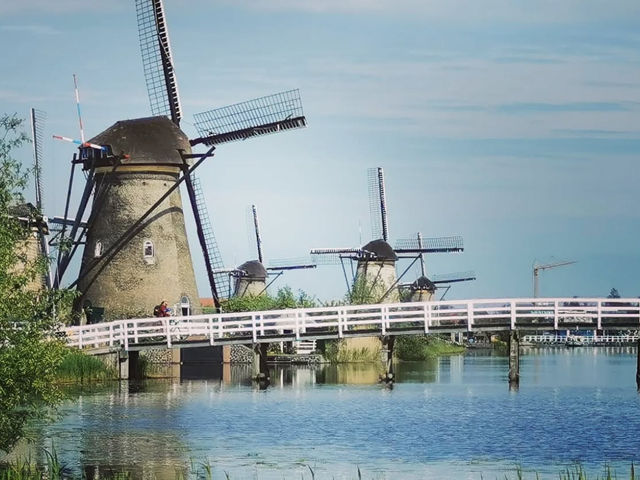Tulip Season in the Netherlands: A Dreamy Escape to Keukenhof 🌷✨