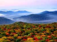 Explore the beaty of nature @ Janlong Mountain!