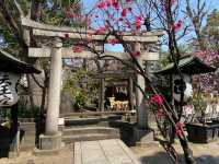 Known for the heroic "Nitenbo mikoshi swinging"