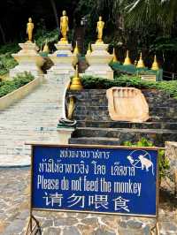Hidden Gem: Krabi's Tiger Cave Temple 🇹🇭