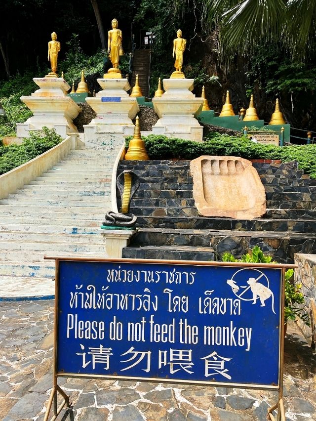 Hidden Gem: Krabi's Tiger Cave Temple 🇹🇭