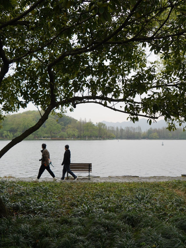 Hangzhou West Lake Day! 🌸🌸🌸