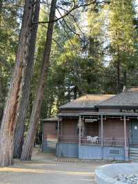 🏕️ Where to Stay in Yosemite National Park 🏨🌄