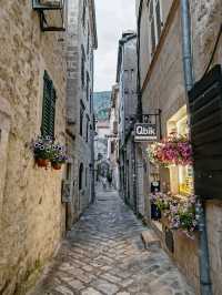Kotor, Montenegro's most atmospheric city 🐈🐈‍⬛🐈🐈‍⬛