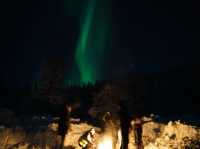 The incredible aurora in Tromsø, Norway💫🪄