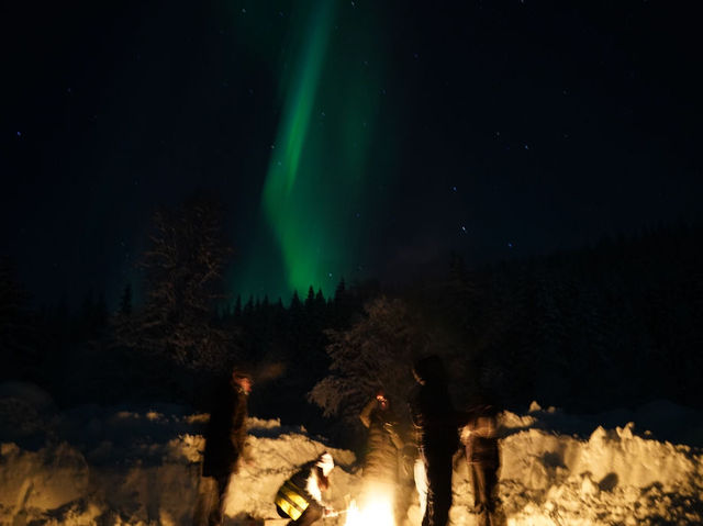 The incredible aurora in Tromsø, Norway💫🪄