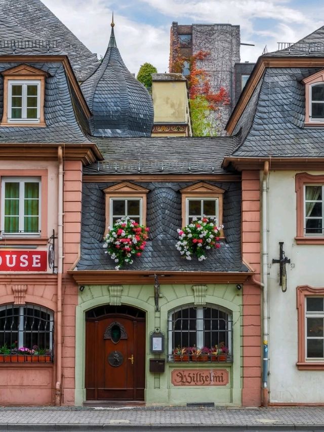 🍇 Rhineland-Palatinate: Vineyards, Castles, and River Magic 🏰🇩🇪