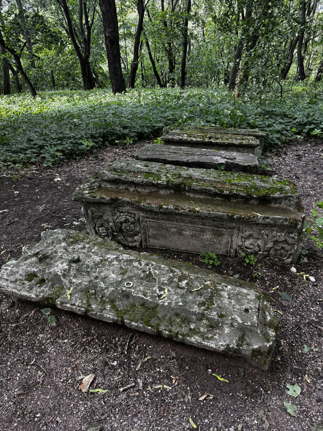 Kolomenskoye: How I Came for a Walk and Left Feeling Magic