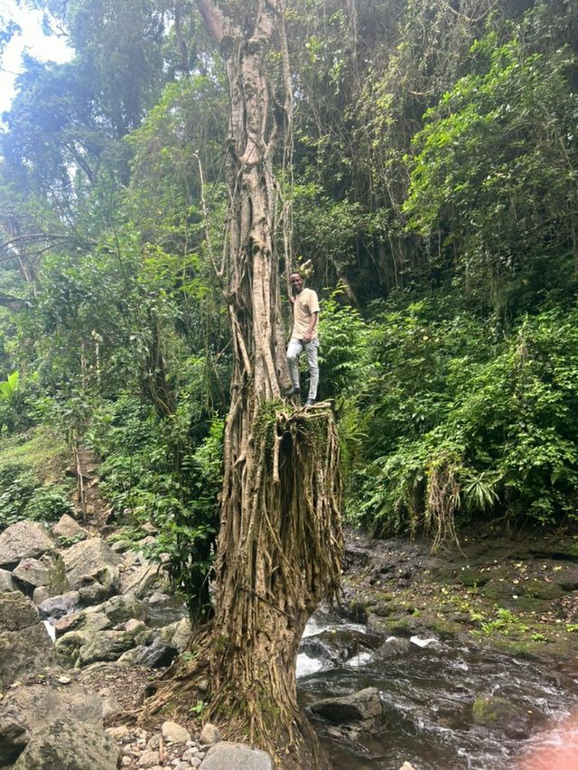 Waterfalls Hiking,Coffee Tour,Lake.Duluti Canoeing, Local Food,Meru Paradise view,Chemka hotspring,L