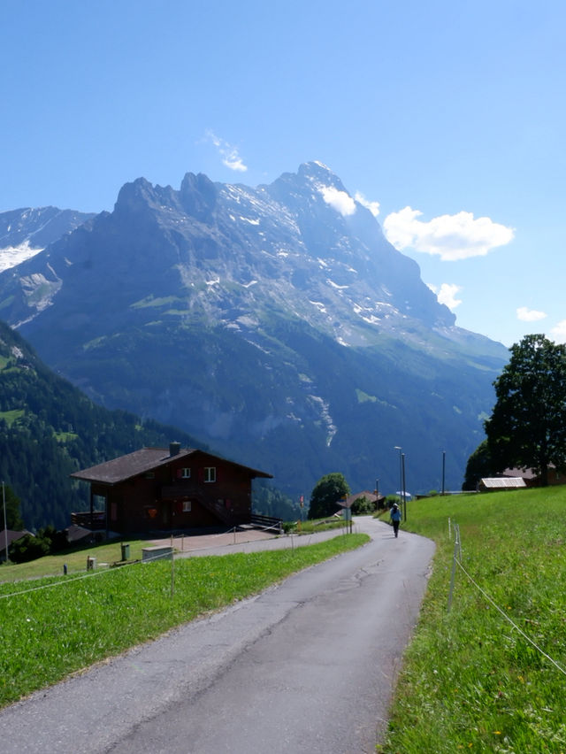 🌄 รีวิวกิจกรรม Grindelwald First Trottibike 🚴‍♀️