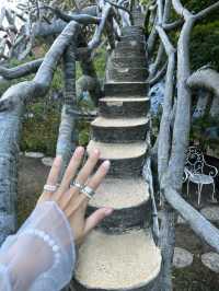 Crazy house of Dalat and new look at it!