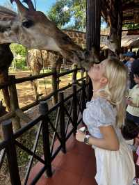 Signature Phu Quoc Safari ! Must see!