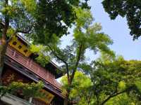 Finding Peace at Lingyin Temple: Hangzhou’s Spiritual Gem